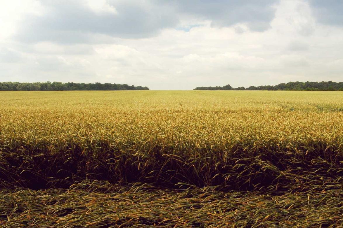 Quas veniam sit blanditiis fugiat et incidunt